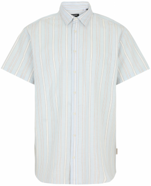 Jack & Jones Plus Košeľa 'JORJOSHUA CANGGU'  modrosivá / svetlomodrá / hnedá / biela