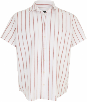 Jack & Jones Plus Košeľa 'JORJOSHUA CANGGU'  hnedá / biela