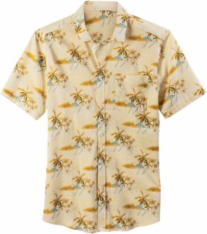 BEACH TIME Košeľa  svetlomodrá / hnedá / pastelovo žltá / olivová