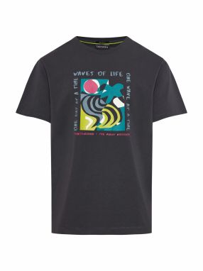 Funky Buddha Tričko  antracitová / petrolejová / svetlozelená / tmavoružová