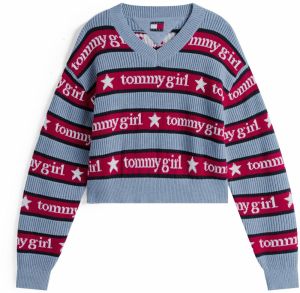 Tommy Jeans Sveter  námornícka modrá / svetlomodrá / ohnivo červená / biela