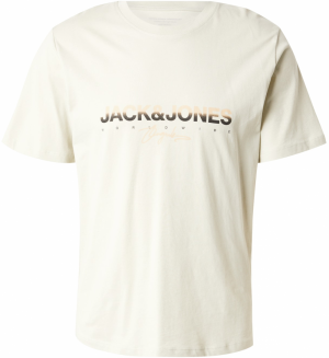 JACK & JONES Tričko 'JORCanggu'  piesková / pastelovo zelená / čierna