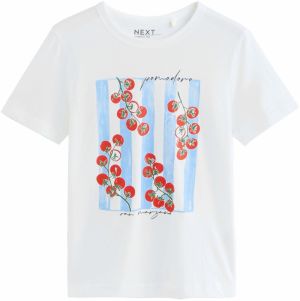 Next Tričko 'Essential'  svetlomodrá / zelená / červená / biela