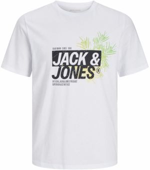 Jack & Jones Plus Tričko 'JJJaxon'  zelená / čierna / biela