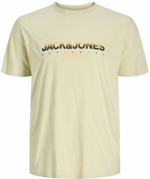 Jack & Jones Plus Tričko 'JORCANGGU'  pastelovo zelená / svetlooranžová / čierna