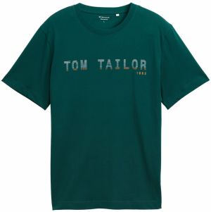 TOM TAILOR Tričko  farba ťavej srsti / svetlomodrá / tmavozelená / biela