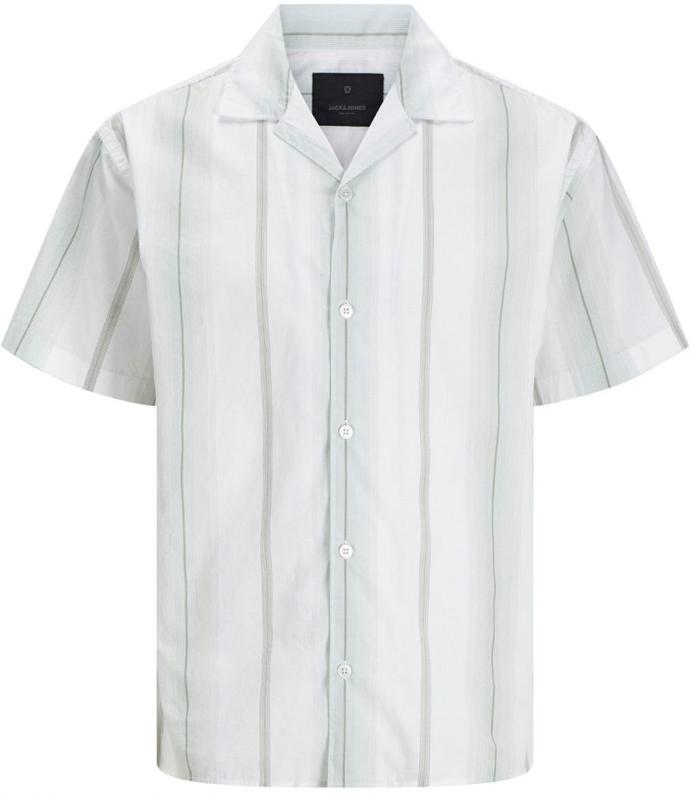 Jack & Jones Plus Košeľa 'JPRBLAPALERMO'  tmavosivá / pastelovo zelená / biela
