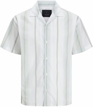Jack & Jones Plus Košeľa 'JPRBLAPALERMO'  tmavosivá / pastelovo zelená / biela