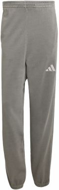 ADIDAS SPORTSWEAR Športové nohavice 'All Szn'  sivá / striebornosivá