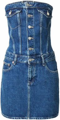 Dr. Denim Šaty 'Carlisle'  modrá denim