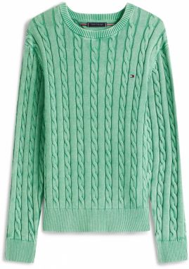 TOMMY HILFIGER Sveter 'CLASSIC'  zelená