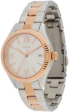 FOSSIL Analógové hodinky 'RYE'  zlatá / strieborná