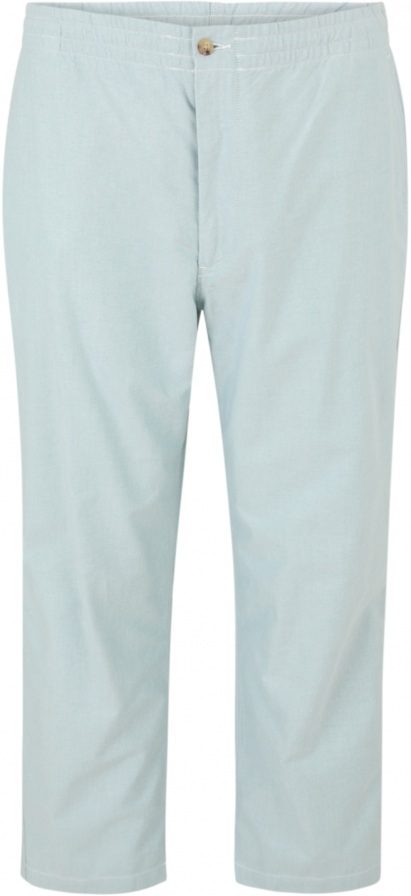 Polo Ralph Lauren Big & Tall Chino nohavice  mätová