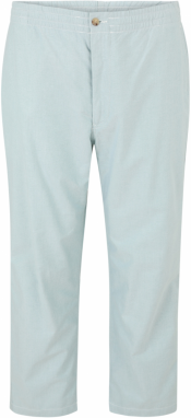 Polo Ralph Lauren Big & Tall Chino nohavice  mätová