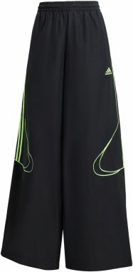 ADIDAS ORIGINALS Nohavice 'Teamgeist Adicolor'  svetlozelená / čierna