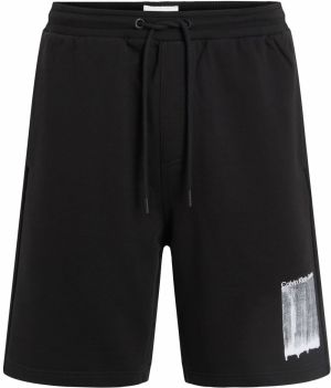 Calvin Klein Jeans Nohavice  svetlosivá / čierna / šedobiela
