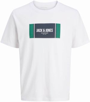 JACK & JONES Tričko 'JJHayato'  námornícka modrá / smaragdová / biela