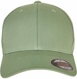 Flexfit Čiapka  zelená / čierna / strieborná