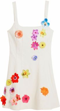 Desigual Šaty  zmiešané farby
