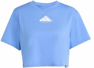 ADIDAS PERFORMANCE Funkčné tričko  modrosivá / svetlosivá