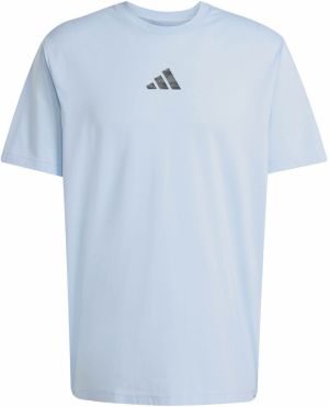 ADIDAS PERFORMANCE Funkčné tričko  svetlomodrá / sivá / tmavosivá