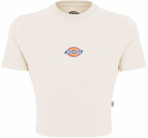 DICKIES Tričko 'Maple Valley'  modrá / žltá / krvavo červená / šedobiela