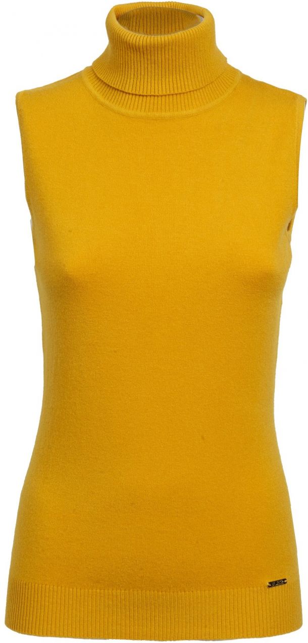 Influencer Top  karí