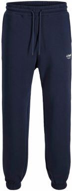 JACK & JONES Nohavice 'JPSTKANE SOHO'  námornícka modrá / biela