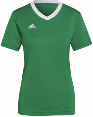 ADIDAS PERFORMANCE Dres 'Entrada 22'  zelená / biela