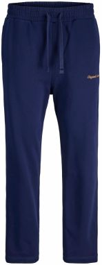 JACK & JONES Nohavice 'JPSTKane Norrebro'  tmavomodrá