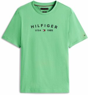 TOMMY HILFIGER Tričko 'FATHERS DAY'  svetlozelená / čierna