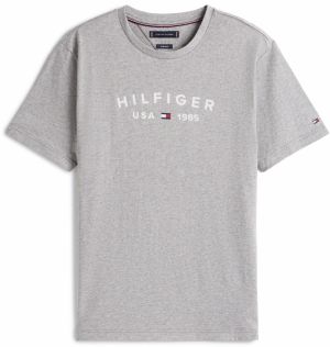 TOMMY HILFIGER Tričko 'FATHERS DAY'  tmavomodrá / sivá / tmavočervená / biela