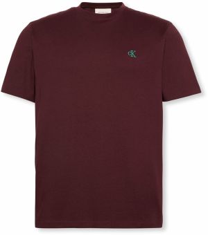 Calvin Klein Jeans Tričko  hrdzavohnedá / svetlozelená