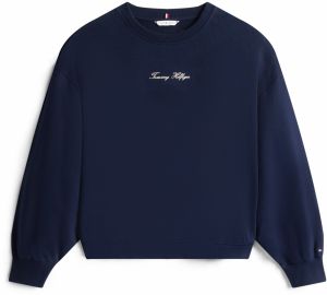 TOMMY HILFIGER Mikina 'CLASSIC'  námornícka modrá