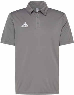 ADIDAS PERFORMANCE Funkčné tričko 'Entrada 22'  tmavosivá / biela