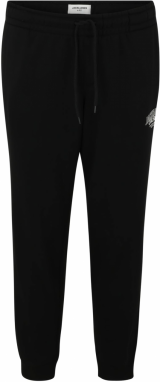 Jack & Jones Plus Nohavice 'JPSTGORDON MAKOTO'  čierna / biela