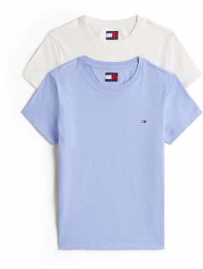 Tommy Jeans Tričko  námornícka modrá / svetlomodrá / červená / biela