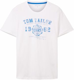 TOM TAILOR Tričko  nebesky modrá / šedobiela