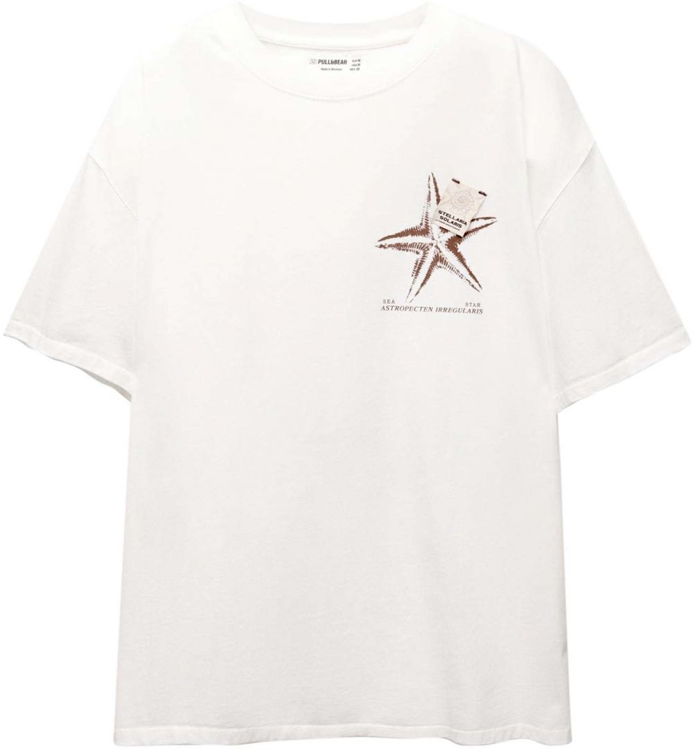 Pull&Bear Tričko  nebielená / gaštanová / biela