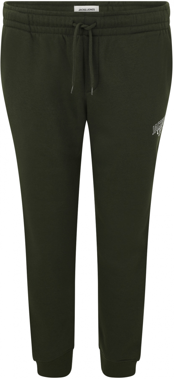 Jack & Jones Plus Nohavice 'JPSTGORDON MAKOTO'  tmavozelená / biela