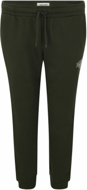 Jack & Jones Plus Nohavice 'JPSTGORDON MAKOTO'  tmavozelená / biela