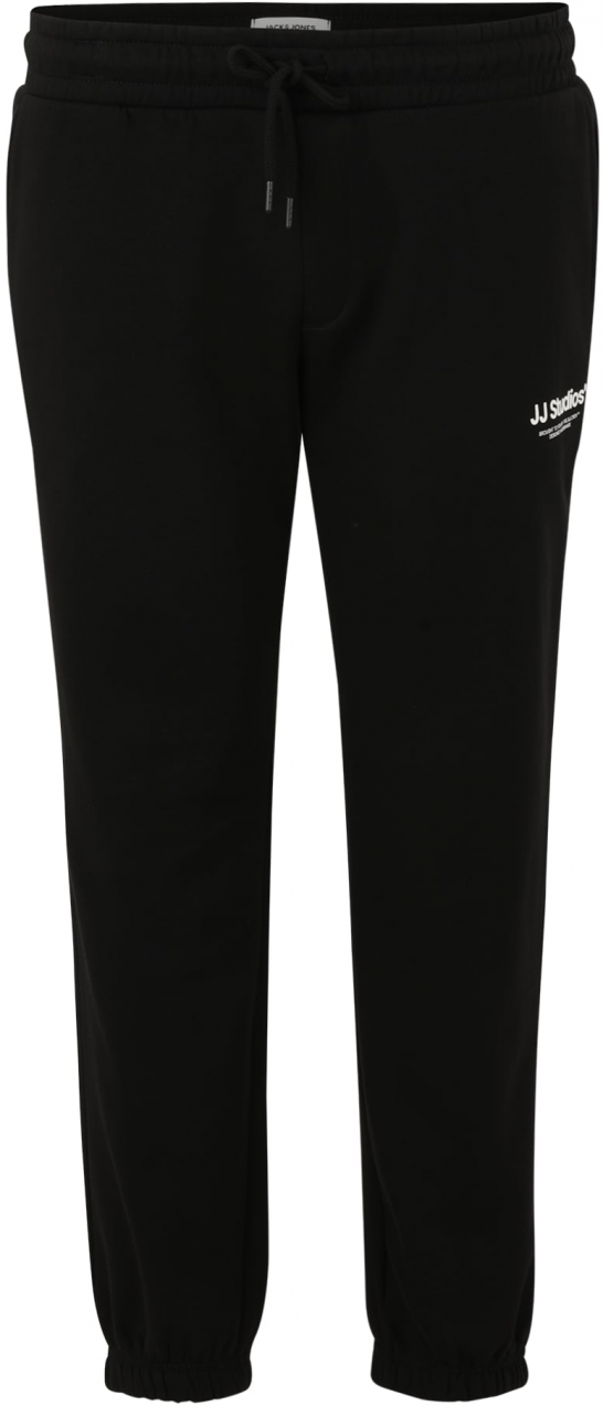 Jack & Jones Plus Nohavice 'JPSTKANE'  čierna / biela