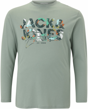 Jack & Jones Plus Tričko 'JJGEPLAS'  hnedá / zelená / pastelovo zelená / biela