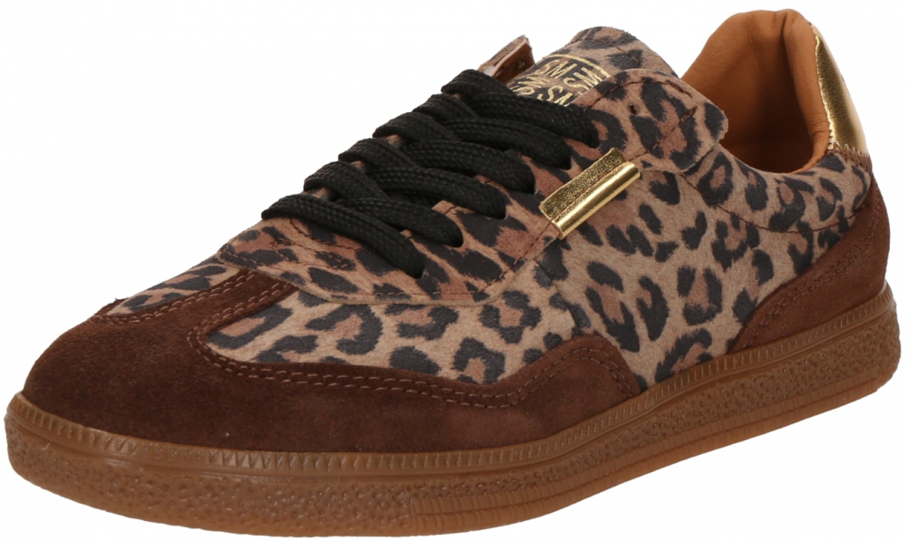 STEVE MADDEN Nízke tenisky 'Emporia'  kapučíno / tmavohnedá / zlatá / čierna