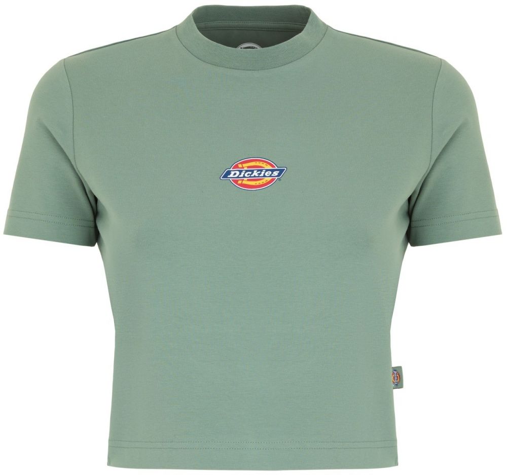 DICKIES Tričko 'Maple Valley'  žltá / zelená / červená