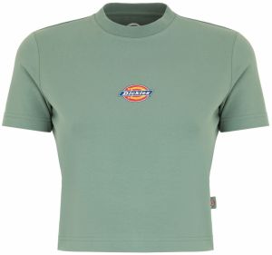 DICKIES Tričko 'Maple Valley'  žltá / zelená / červená