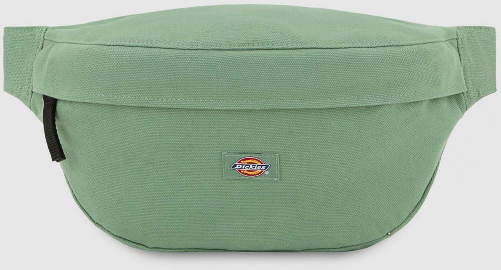 DICKIES Ľadvinka 'Duck'  svetlozelená