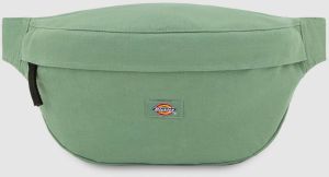 DICKIES Ľadvinka 'Duck'  svetlozelená