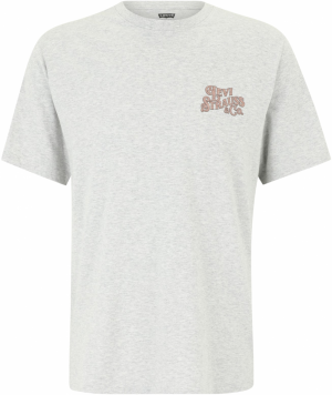 LEVI'S ® Tričko 'Relaxed Graphic Tee'  modrá / žltá / sivá melírovaná / čierna