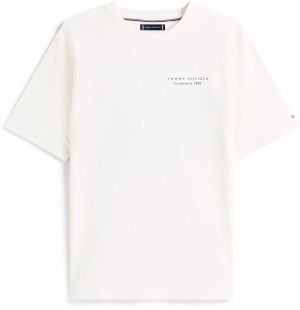 Tommy Hilfiger Big & Tall Tričko  svetlomodrá / červená / čierna / biela